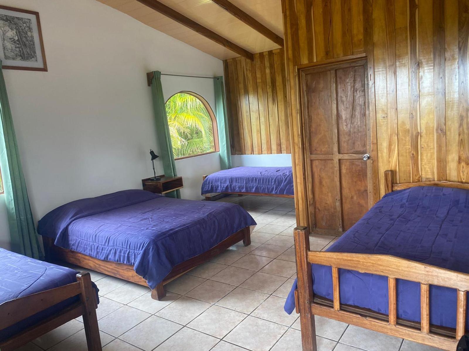Cabinas Capulin & Farm Monteverde Exteriör bild